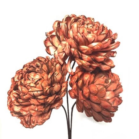 SHAVED WOOD SOLA CHRYSANTHEMUM - Picture 6 of 7